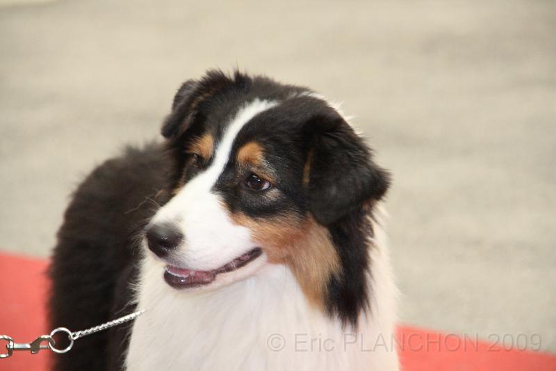 fem_pup_0006.JPG
