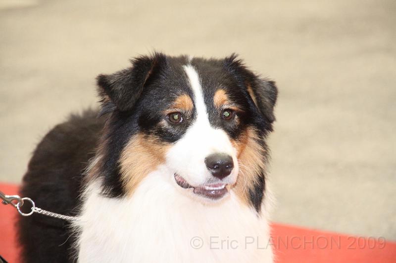 fem_pup_0010.JPG