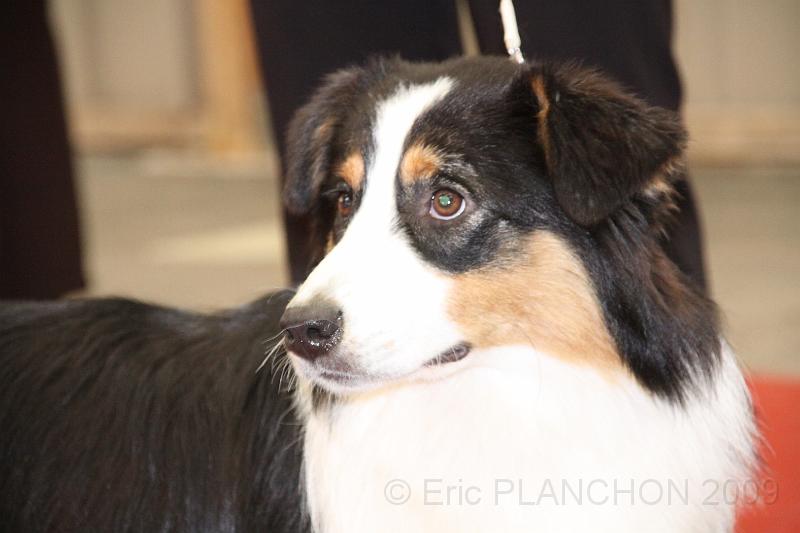 fem_pup_0011.JPG