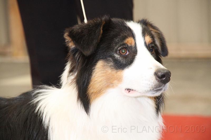 fem_pup_0012.JPG