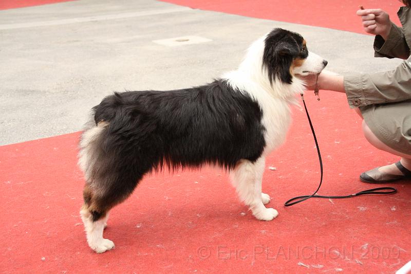 fem_pup_0013.JPG