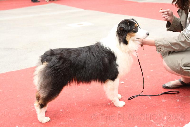 fem_pup_0014.JPG