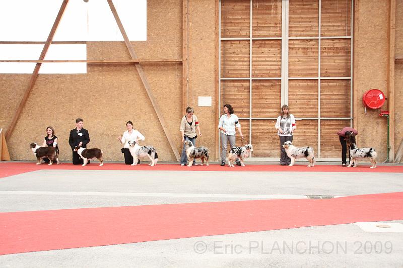 fem_pup_0016.JPG