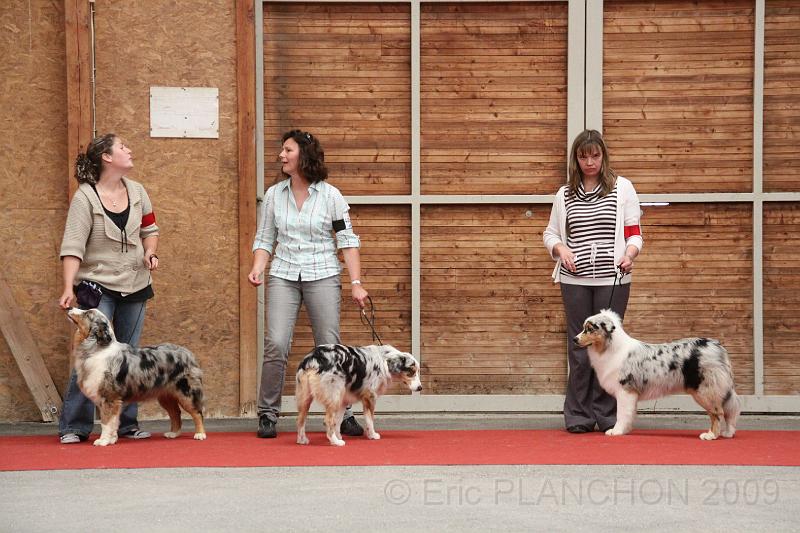 fem_pup_0019.JPG