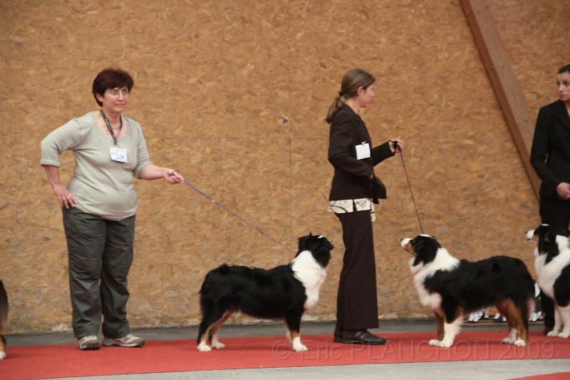 fem_pup_0022.JPG