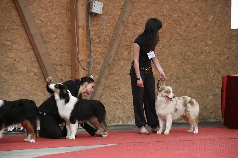 fem_pup_0023.JPG