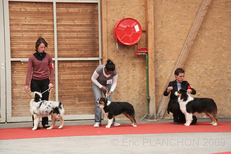 fem_pup_0026.JPG