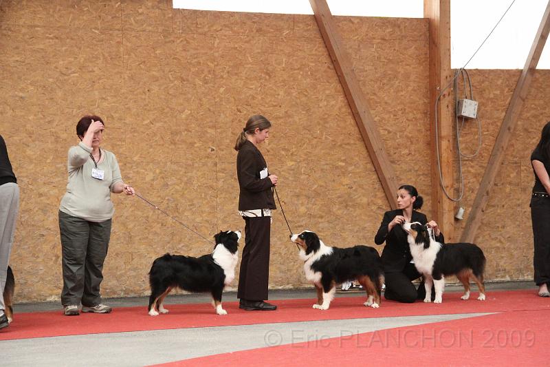 fem_pup_0027.JPG