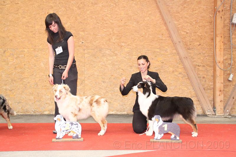 fem_pup_0029.JPG