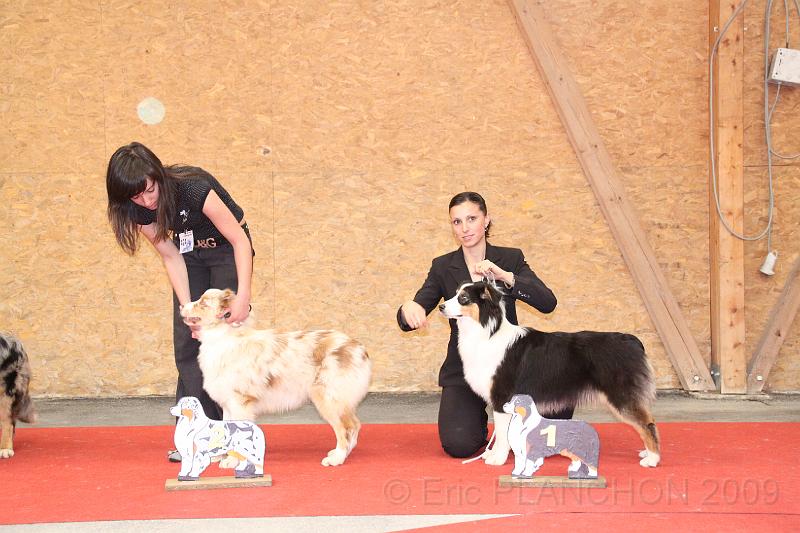 fem_pup_0031.JPG