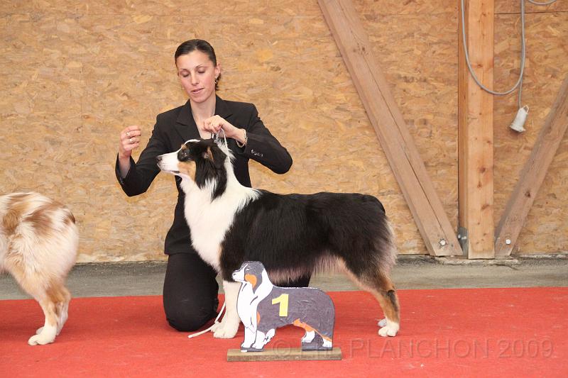 fem_pup_0032.JPG