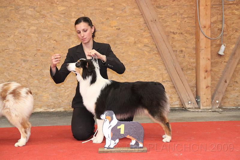 fem_pup_0033.JPG