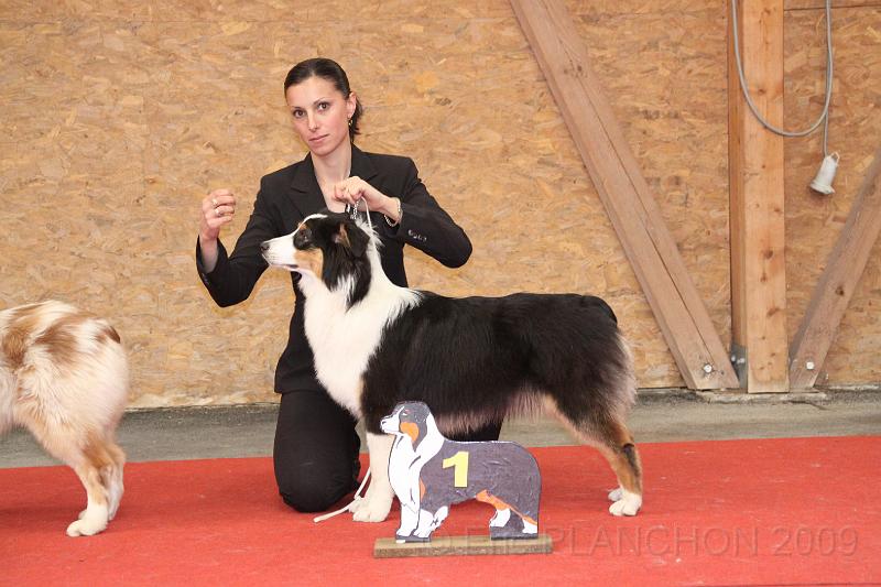 fem_pup_0034.JPG