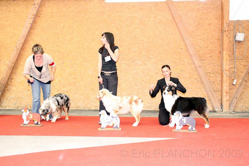 fem_pup_0036.JPG