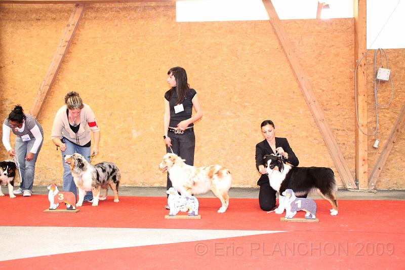 fem_pup_0037.JPG