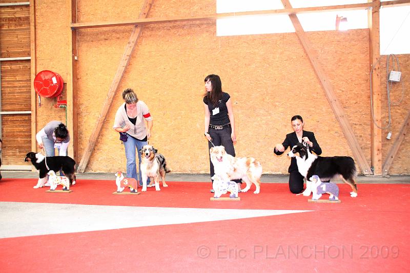 fem_pup_0039.JPG