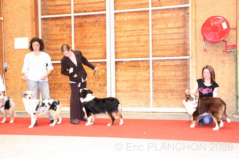 fem_pup_0040.JPG