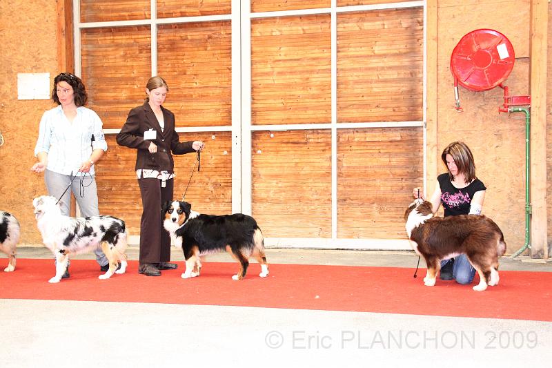 fem_pup_0041.JPG