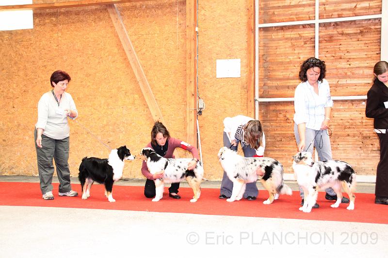 fem_pup_0043.JPG
