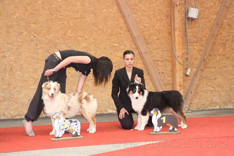 fem_pup_0045.JPG