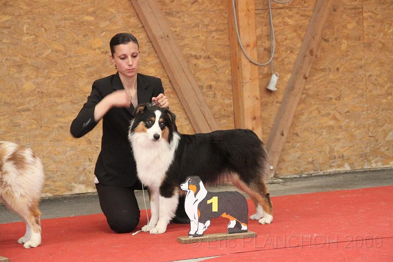 fem_pup_0046.JPG