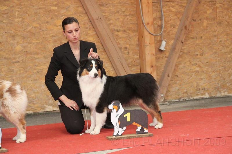 fem_pup_0047.JPG