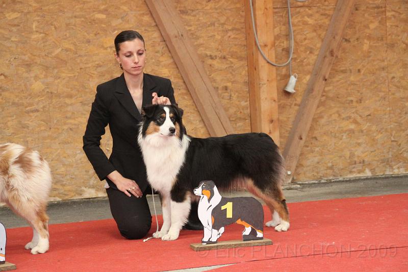 fem_pup_0048.JPG
