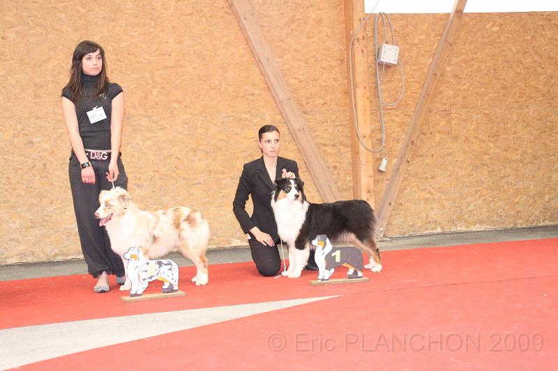 fem_pup_0049.JPG