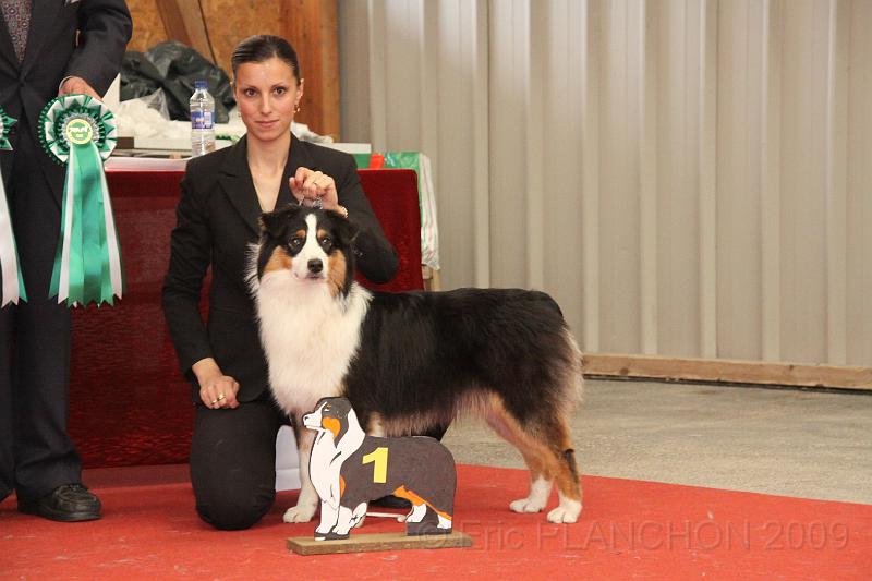 fem_pup_0060.JPG