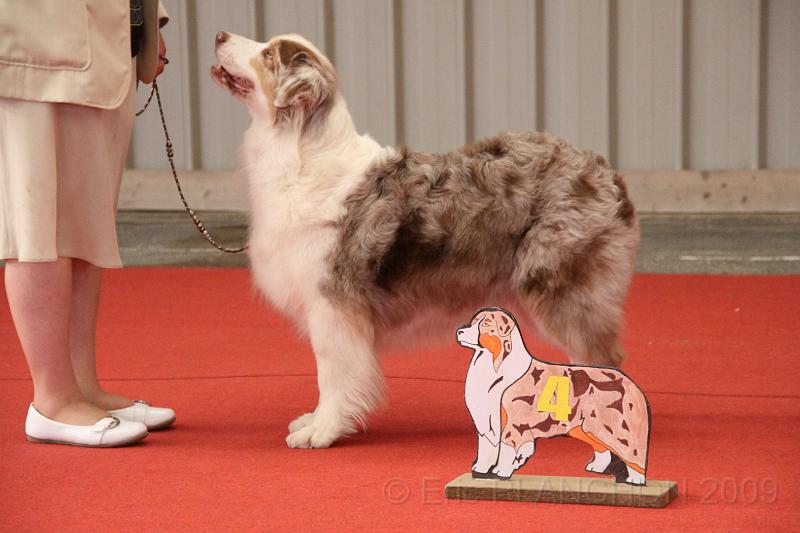 fem_vet_0023.JPG