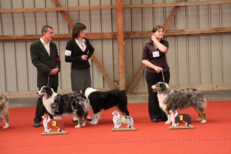 fem_vet_0038.JPG