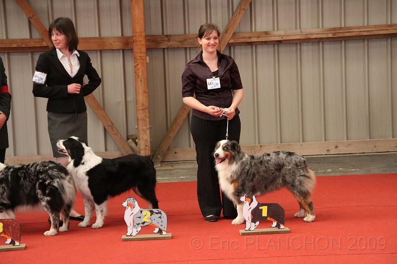 fem_vet_0039.JPG