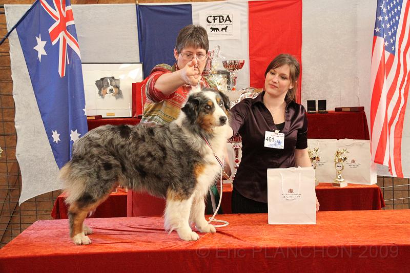 fem_vet_0043.JPG