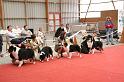 lots_aff_0035
