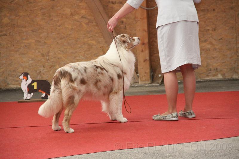 male_inter_0010.JPG