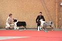male_inter_0087