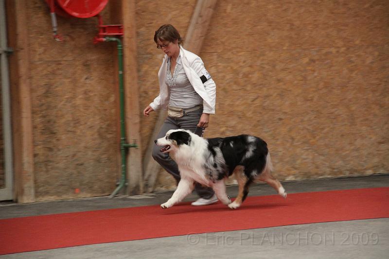 male_jeune_0003.JPG