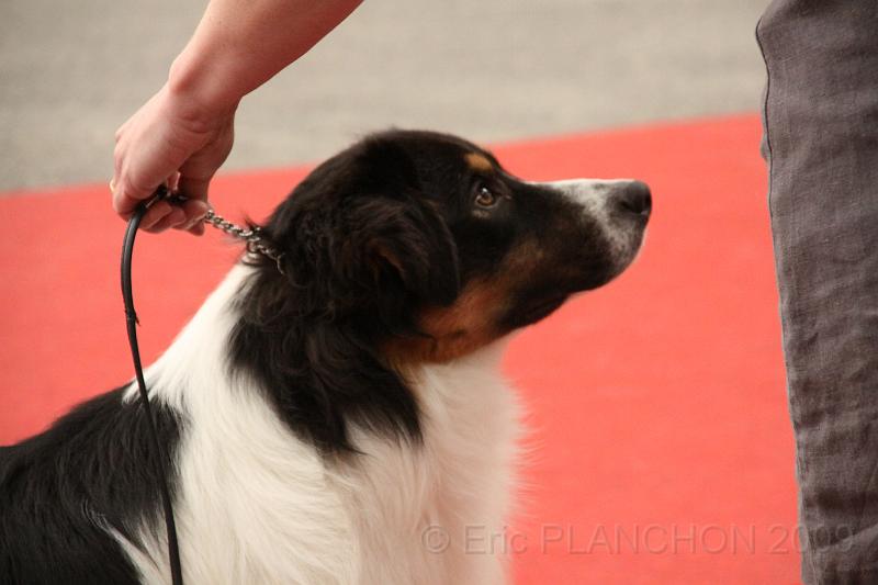 male_jeune_0017.JPG