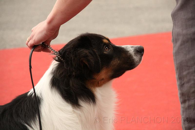 male_jeune_0018.JPG