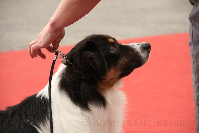 male_jeune_0019.JPG