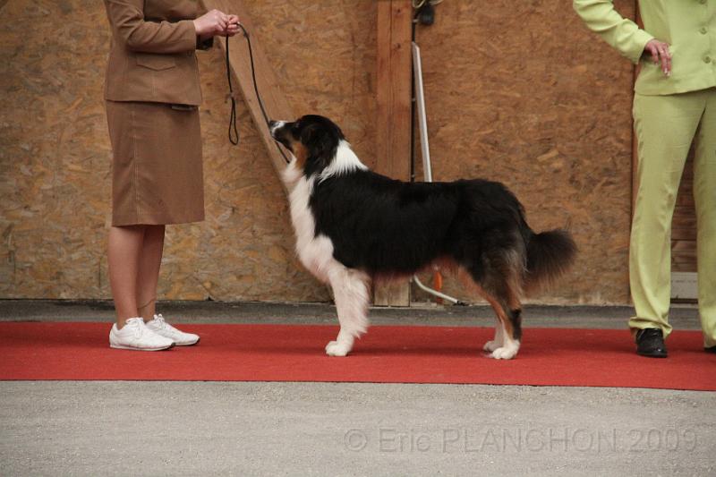 male_jeune_0048.JPG
