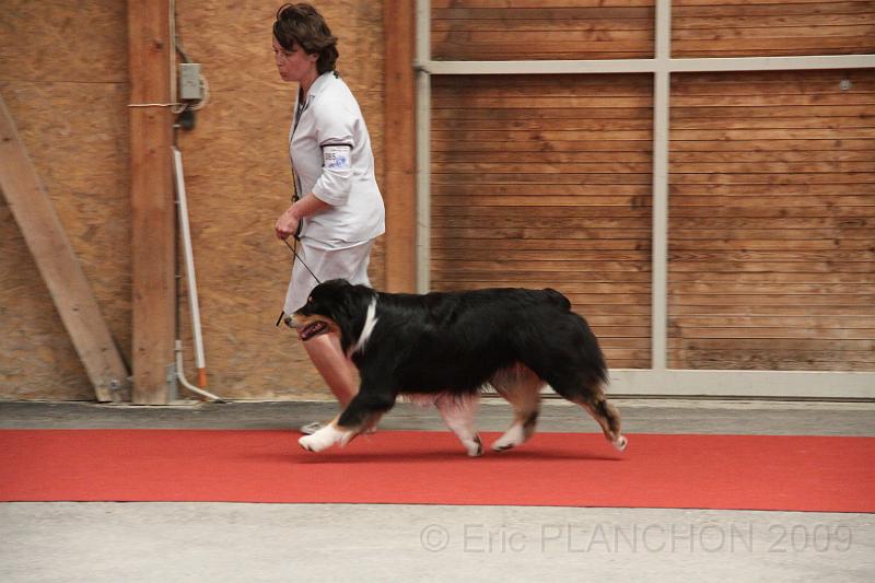 male_ouv_0015.JPG