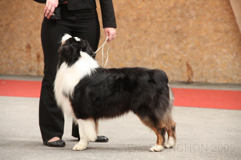male_ouv_0071.JPG