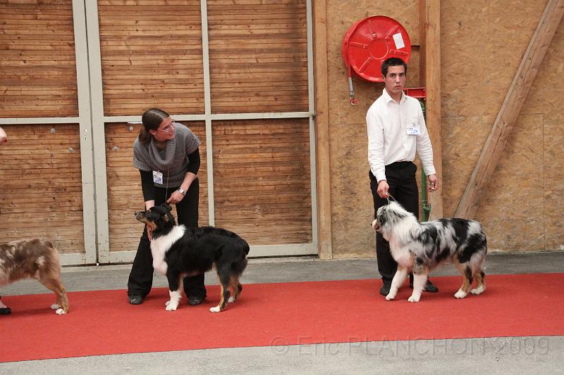 male_pup_0007.JPG