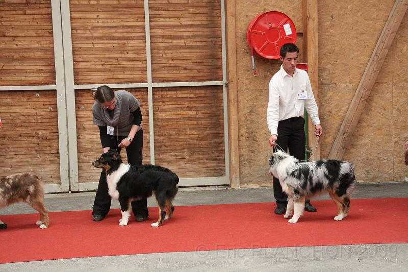 male_pup_0008.JPG