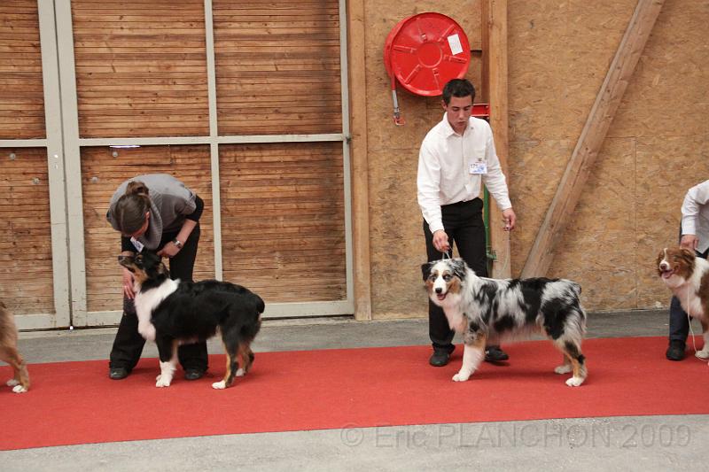 male_pup_0009.JPG