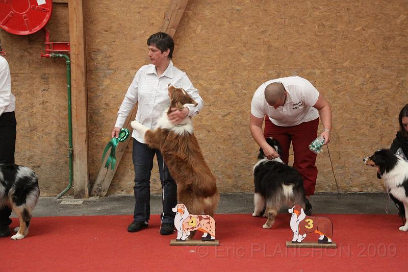 male_pup_0010.JPG