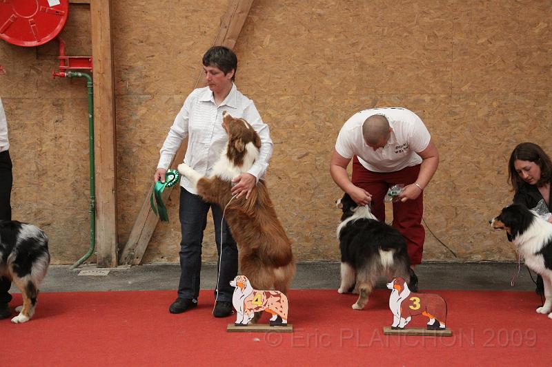 male_pup_0011.JPG