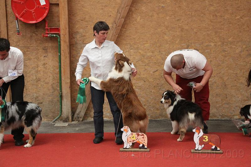 male_pup_0012.JPG