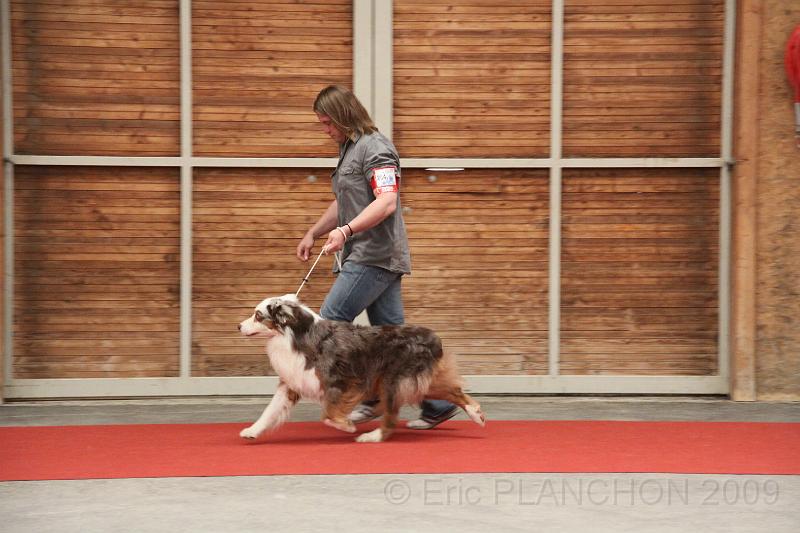 male_vet_0009.JPG